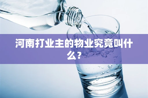 河南打业主的物业究竟叫什么？