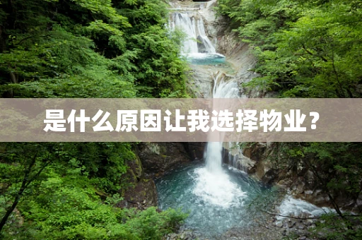 是什么原因让我选择物业？
