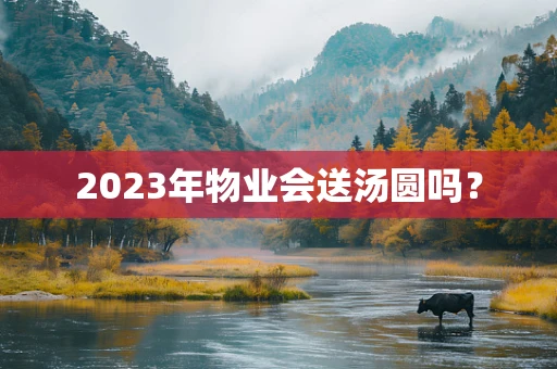 2023年物业会送汤圆吗？