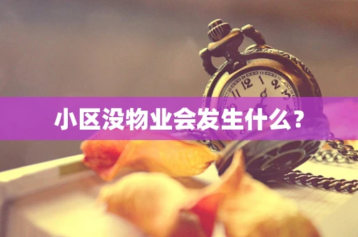 小区没物业会发生什么？
