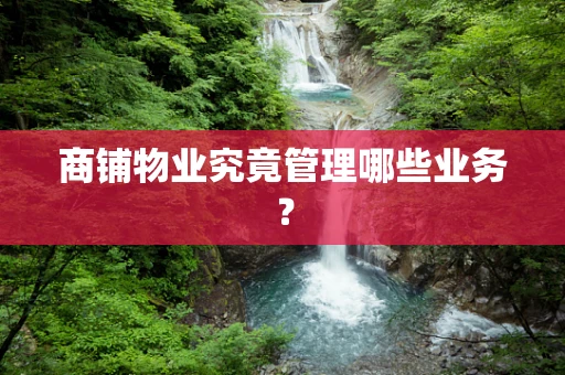 商铺物业究竟管理哪些业务？
