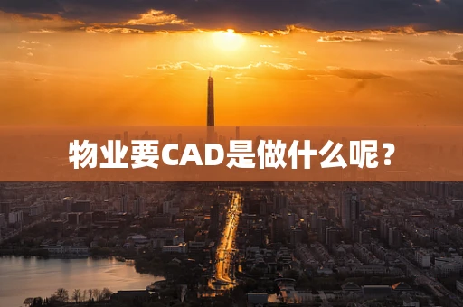 物业要CAD是做什么呢？