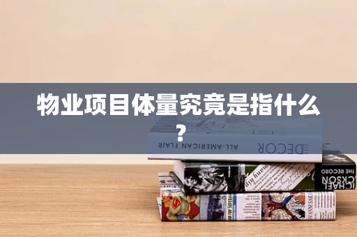 物业项目体量究竟是指什么？