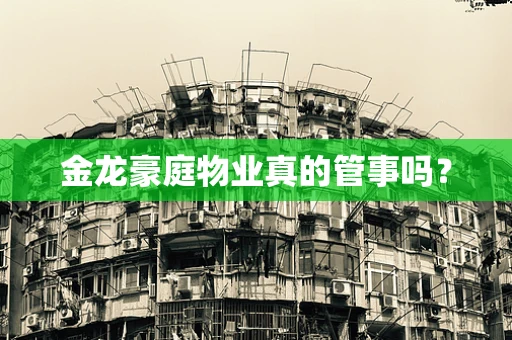金龙豪庭物业真的管事吗？