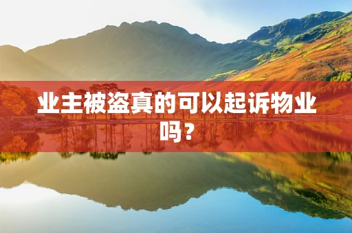 业主被盗真的可以起诉物业吗？