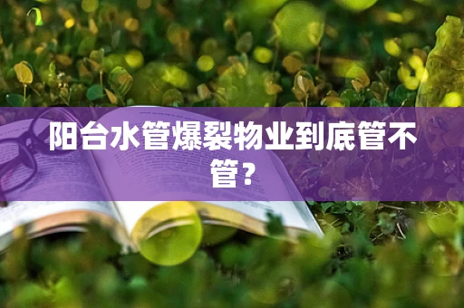 阳台水管爆裂物业到底管不管？