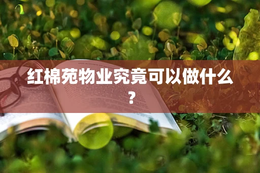 红棉苑物业究竟可以做什么？