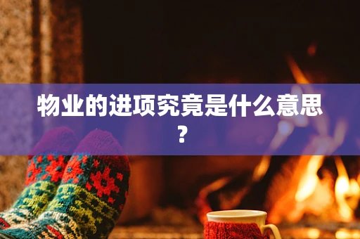 物业的进项究竟是什么意思？