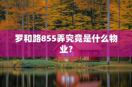 罗和路855弄究竟是什么物业？