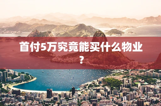 首付5万究竟能买什么物业？