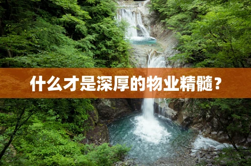 什么才是深厚的物业精髓？