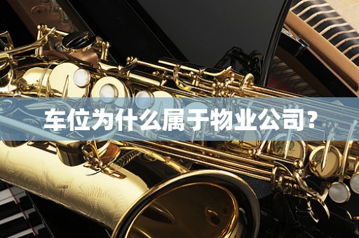 车位为什么属于物业公司？