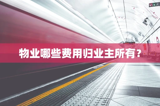 物业哪些费用归业主所有？