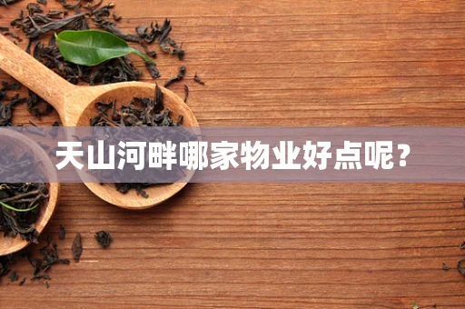 天山河畔哪家物业好点呢？