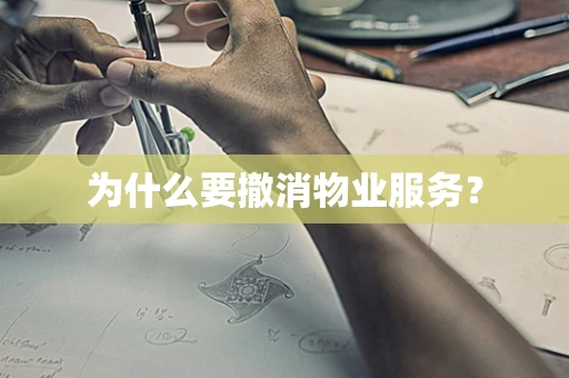为什么要撤消物业服务？