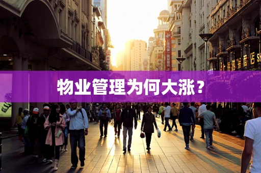 物业管理为何大涨？