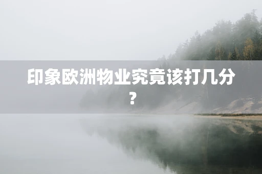 印象欧洲物业究竟该打几分？