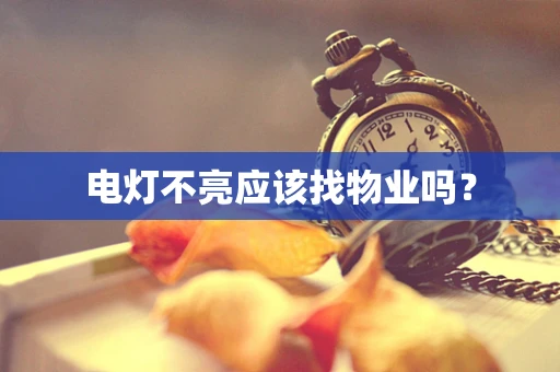 电灯不亮应该找物业吗？