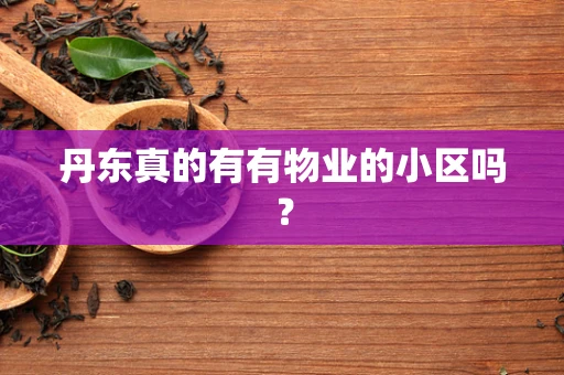 丹东真的有有物业的小区吗？