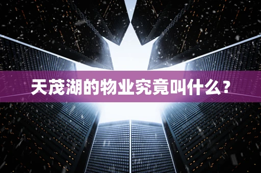 天茂湖的物业究竟叫什么？