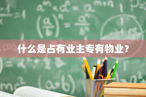 什么是占有业主专有物业？