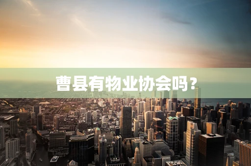 曹县有物业协会吗？