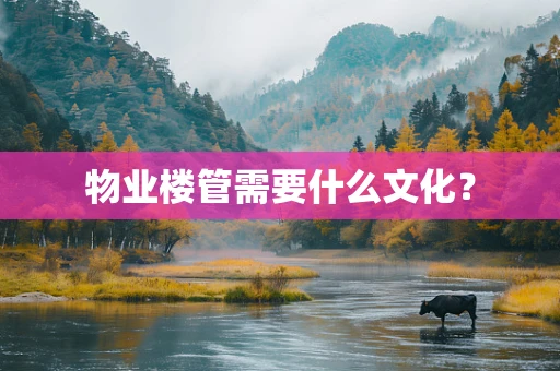 物业楼管需要什么文化？