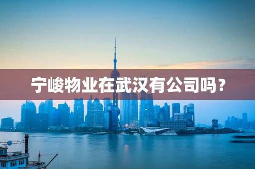 宁峻物业在武汉有公司吗？