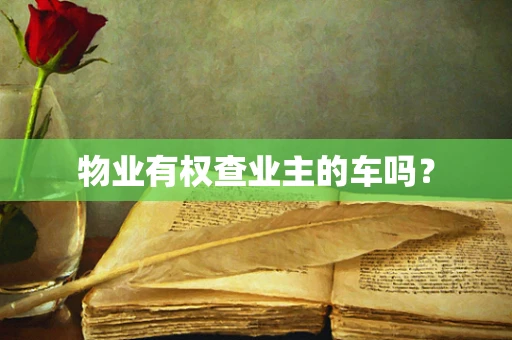 物业有权查业主的车吗？