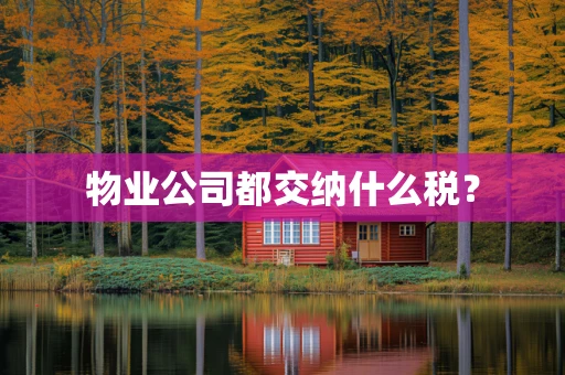 物业公司都交纳什么税？