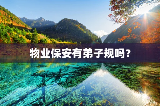 物业保安有弟子规吗？