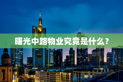 曙光中路物业究竟是什么？