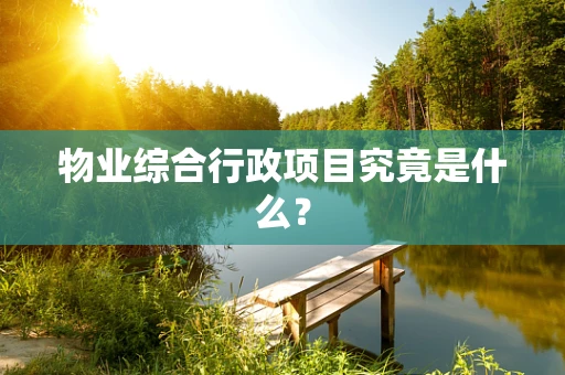 物业综合行政项目究竟是什么？