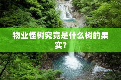 物业怪树究竟是什么树的果实？