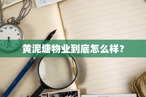 黄泥塘物业到底怎么样？