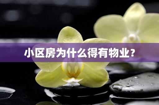小区房为什么得有物业？