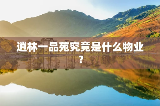 逍林一品苑究竟是什么物业？