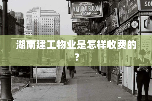 湖南建工物业是怎样收费的？
