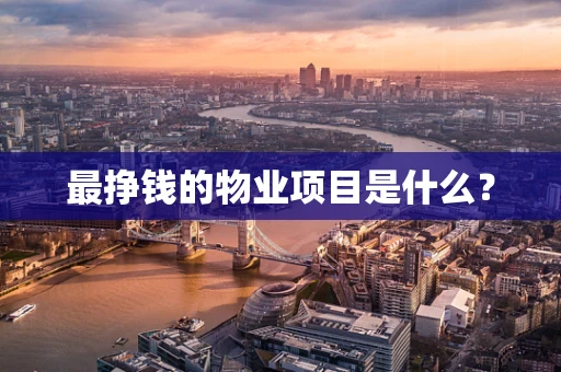 最挣钱的物业项目是什么？