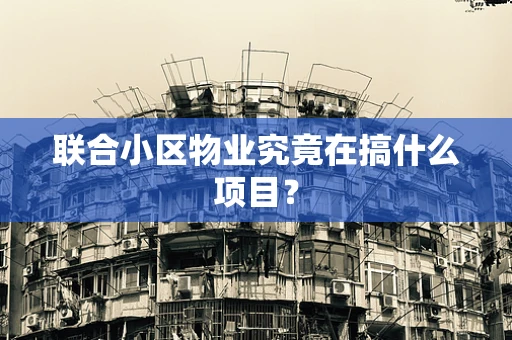 联合小区物业究竟在搞什么项目？