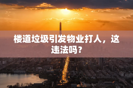 楼道垃圾引发物业打人，这违法吗？