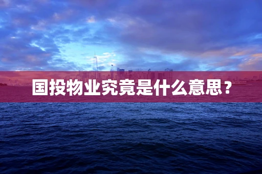 国投物业究竟是什么意思？