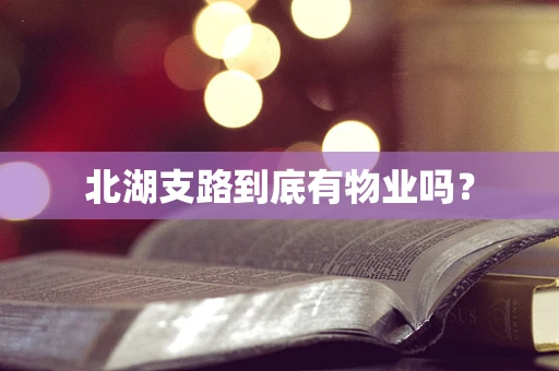 北湖支路到底有物业吗？