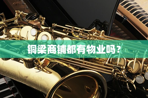 铜梁商铺都有物业吗？