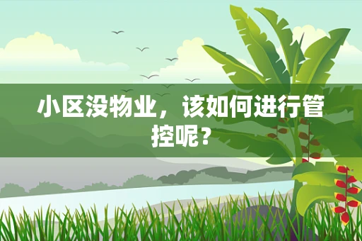 小区没物业，该如何进行管控呢？