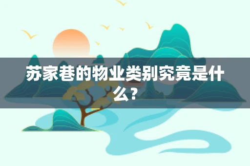 苏家巷的物业类别究竟是什么？