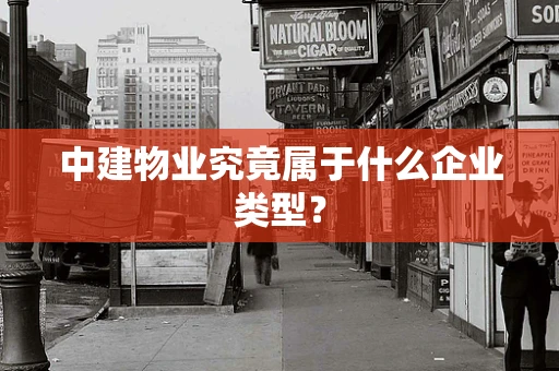 中建物业究竟属于什么企业类型？