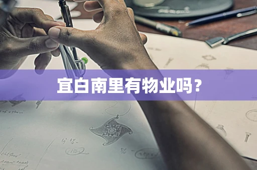 宜白南里有物业吗？