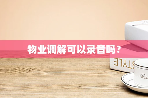 物业调解可以录音吗？