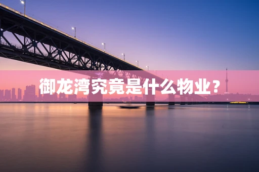 御龙湾究竟是什么物业？